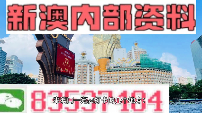 新澳门资料免费长期公开,2024|可靠研究解释落实_高效版250.312