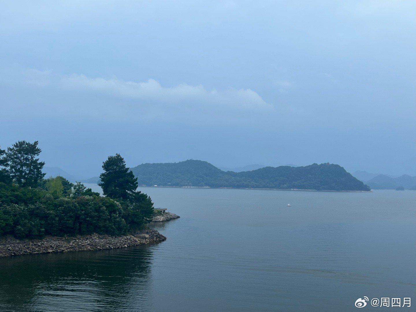 千岛湖植物园，自然之美的聚集地