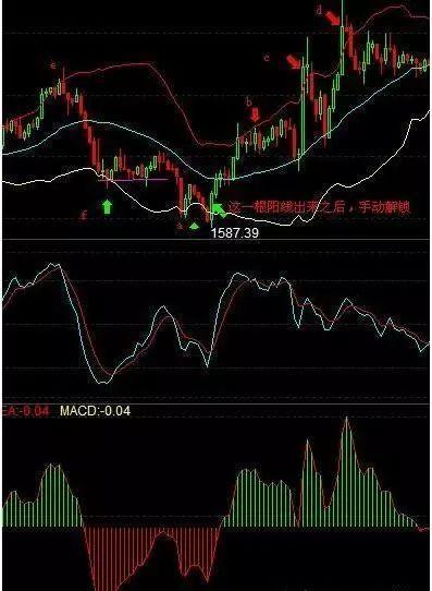 探索4.5米主线线组大力马的奥秘与应用