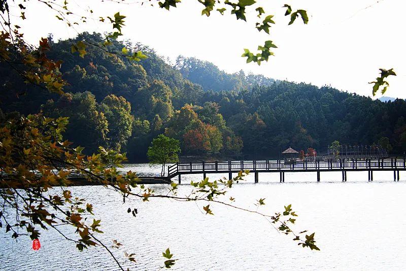 千岛湖荒岛求生之旅，探寻未知的生存挑战地址