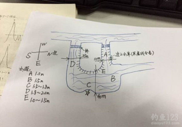 线组主线大力马3.3米，钓鱼中的关键要素与实用指南