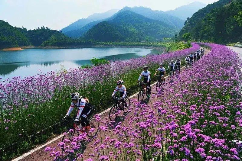 千岛湖小区地址，城市中的宁静港湾