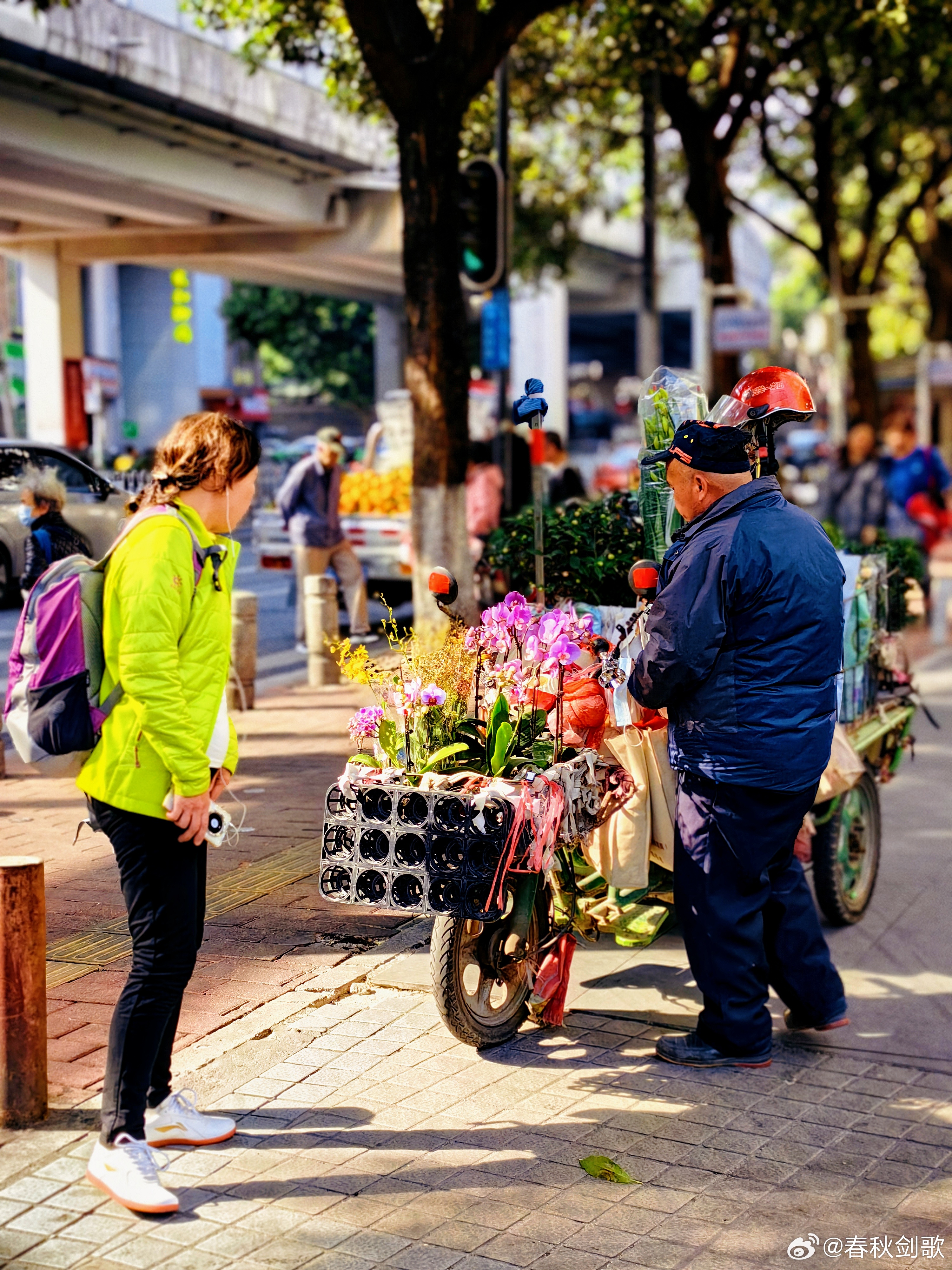 花卉绿植盆栽室外飘香——人与自然和谐共生的美妙瞬间