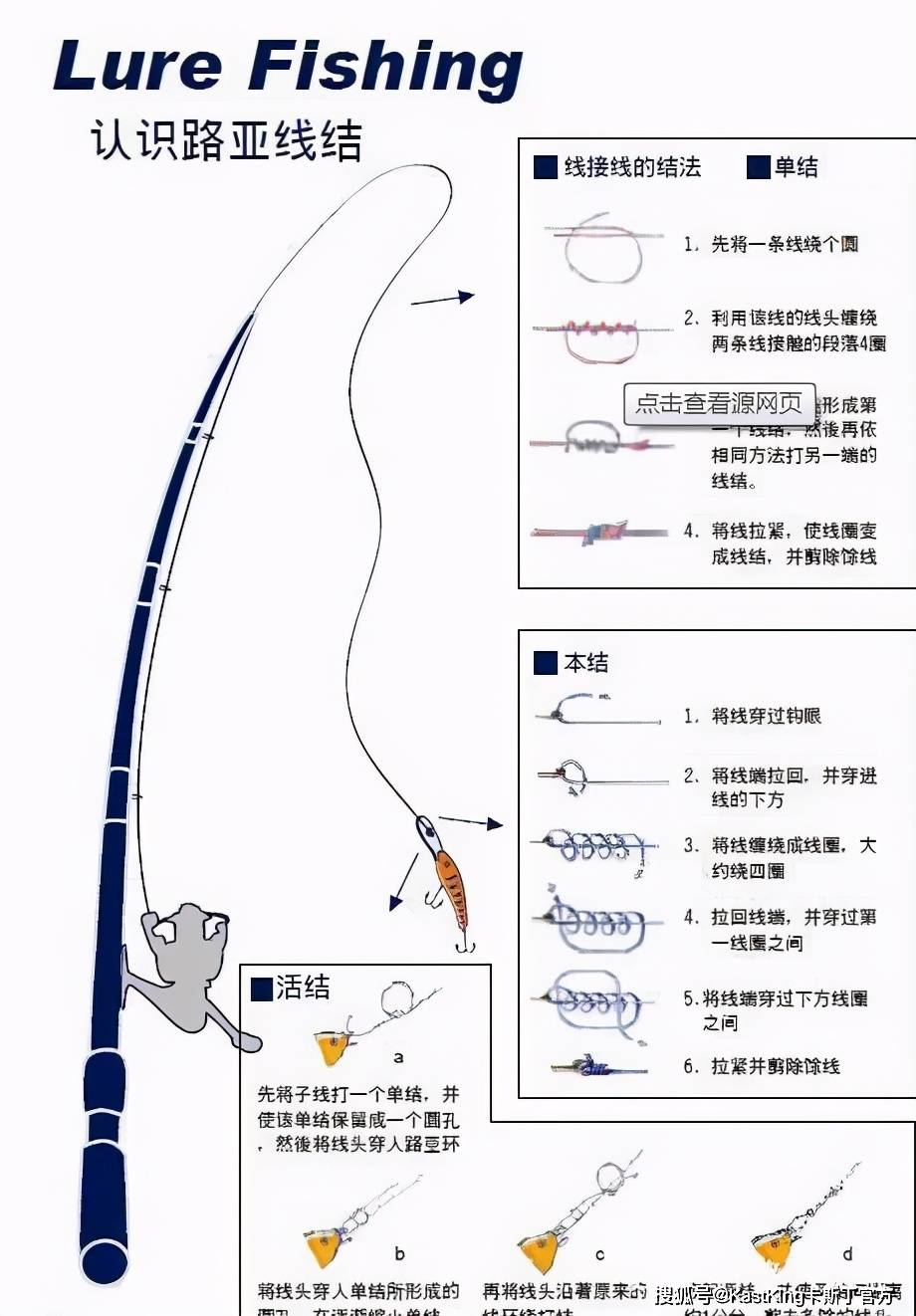 主线尼龙线与子线大力马，探究二者的优势与应用场景